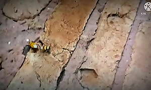 besouro bengala e besoura vip, fodendo forte no muro da escola